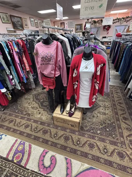 Palmetto Thrift Store, a thrift store in Charleston, SC (1304 Chapin Rd)